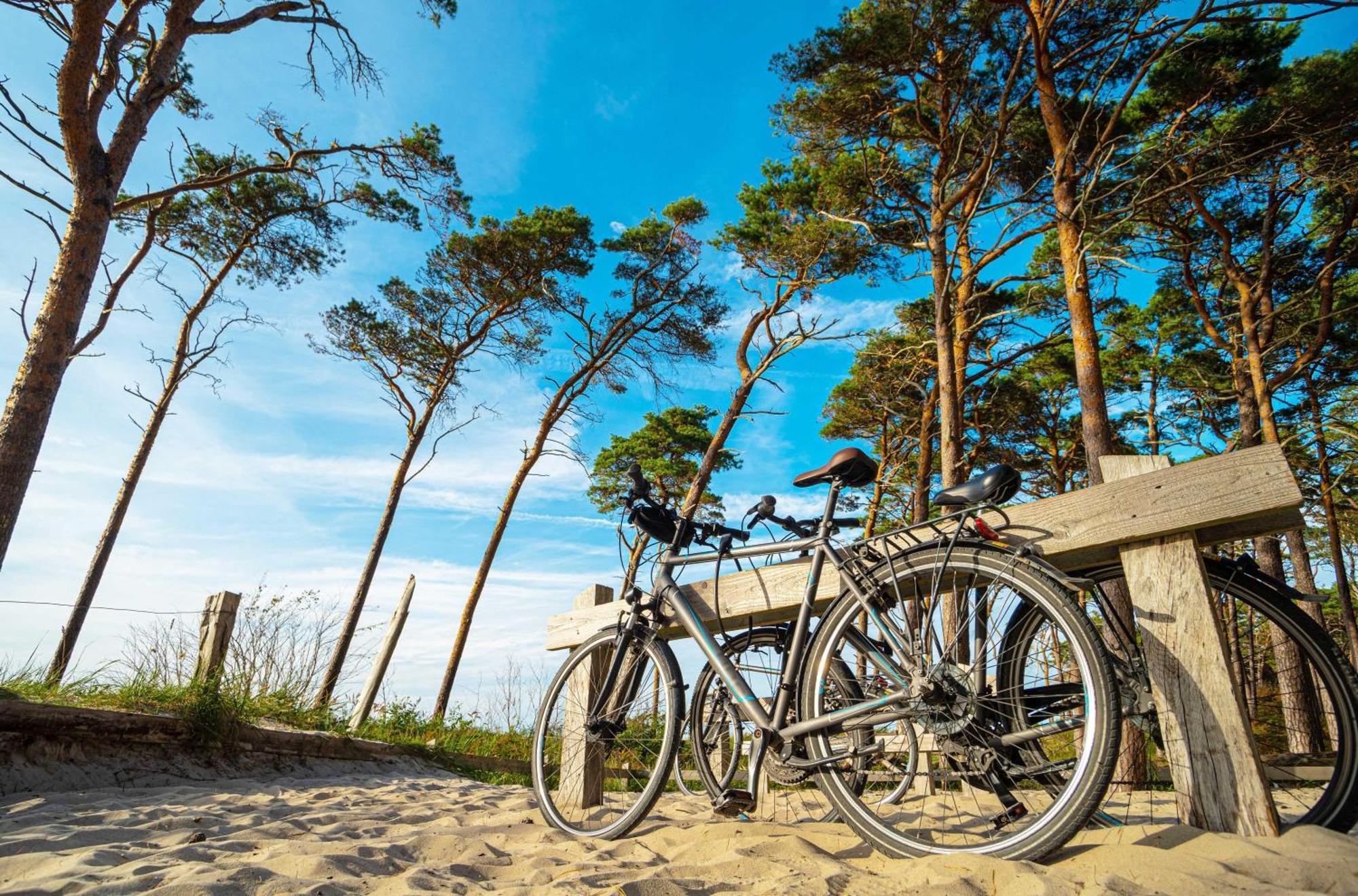 Meeresbrise im Ostseeheilbad Ostseeheilbad Zingst Exterior foto
